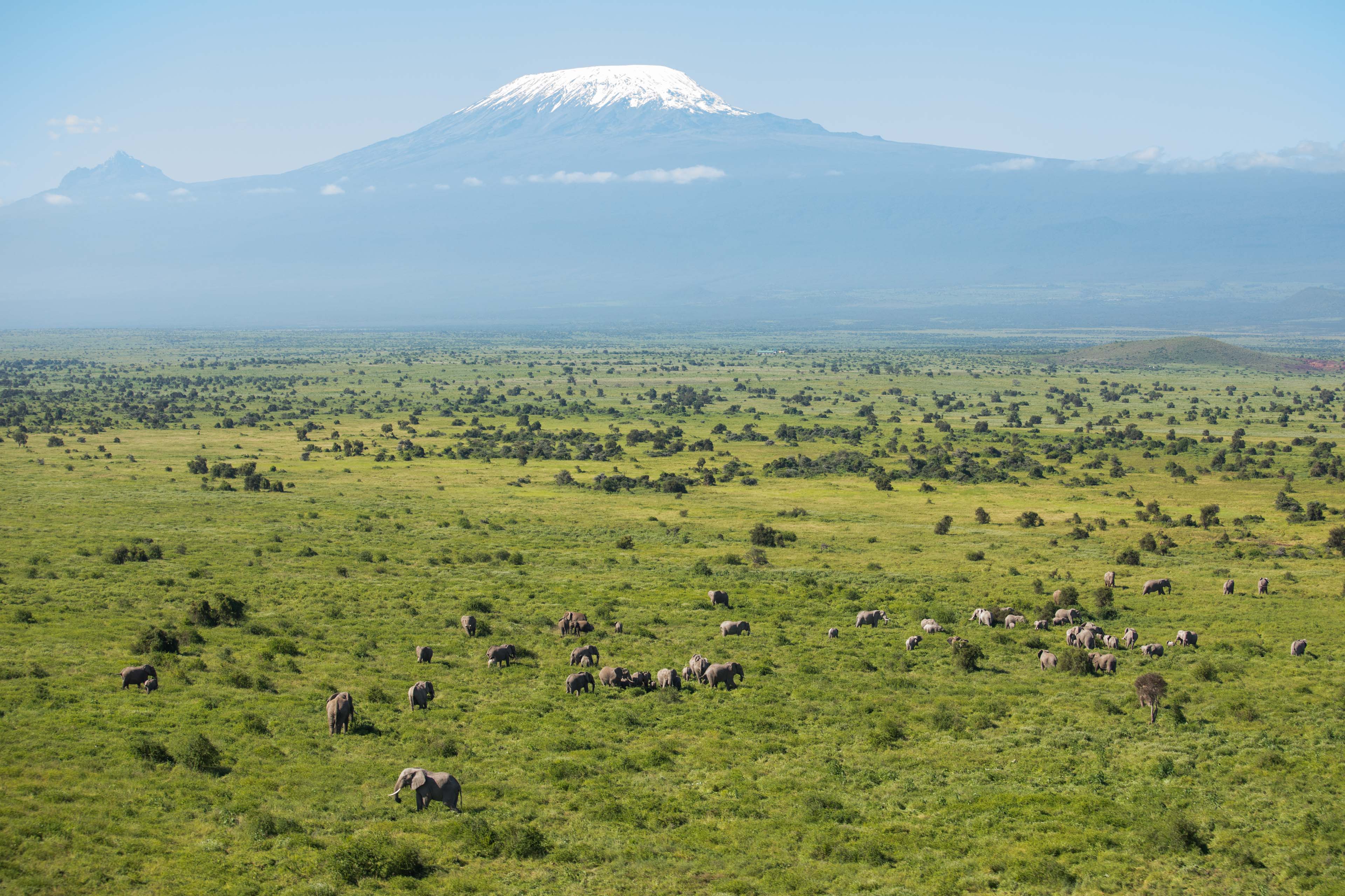 Amboseli